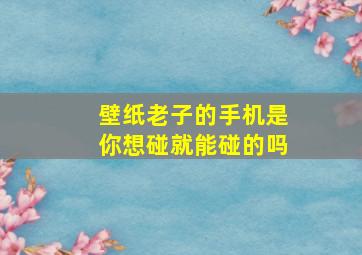 壁纸老子的手机是你想碰就能碰的吗