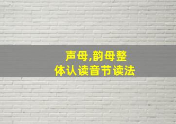 声母,韵母整体认读音节读法