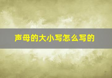 声母的大小写怎么写的