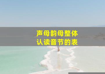 声母韵母整体认读音节的表