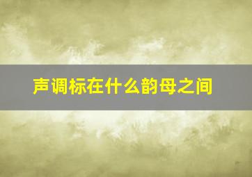 声调标在什么韵母之间