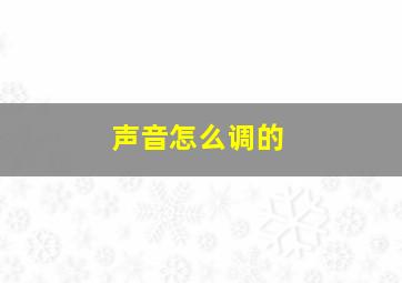 声音怎么调的