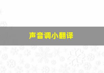 声音调小翻译