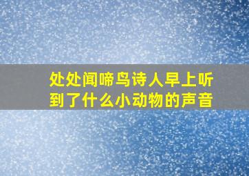 处处闻啼鸟诗人早上听到了什么小动物的声音