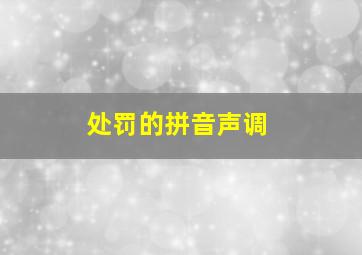 处罚的拼音声调