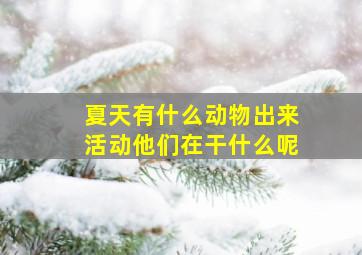 夏天有什么动物出来活动他们在干什么呢