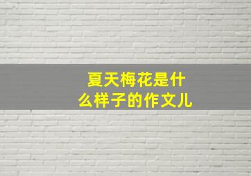 夏天梅花是什么样子的作文儿