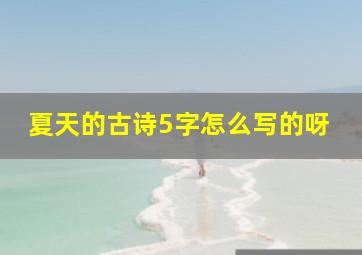 夏天的古诗5字怎么写的呀