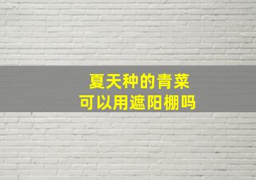 夏天种的青菜可以用遮阳棚吗