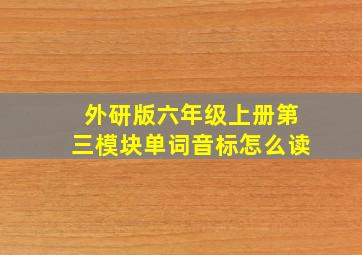 外研版六年级上册第三模块单词音标怎么读