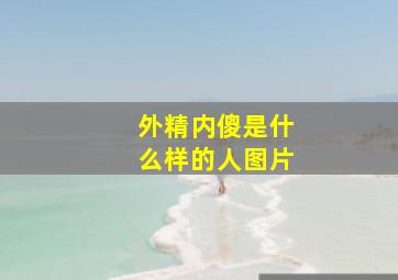 外精内傻是什么样的人图片