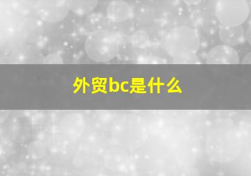 外贸bc是什么