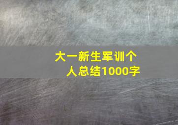 大一新生军训个人总结1000字