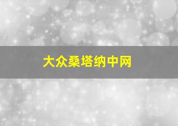 大众桑塔纳中网