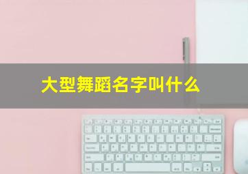 大型舞蹈名字叫什么