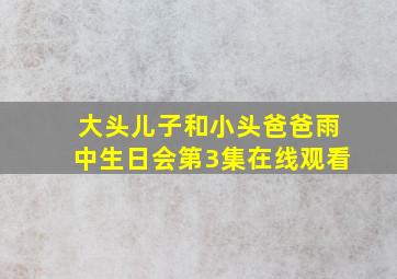 大头儿子和小头爸爸雨中生日会第3集在线观看