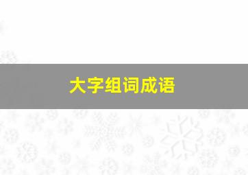 大字组词成语