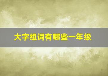 大字组词有哪些一年级