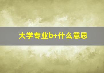 大学专业b+什么意思