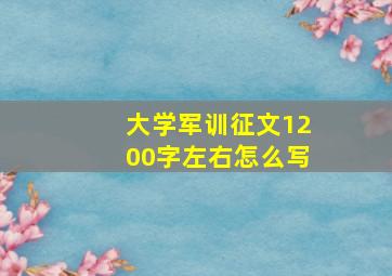 大学军训征文1200字左右怎么写