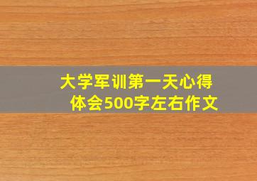 大学军训第一天心得体会500字左右作文