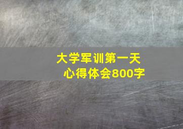 大学军训第一天心得体会800字