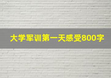 大学军训第一天感受800字