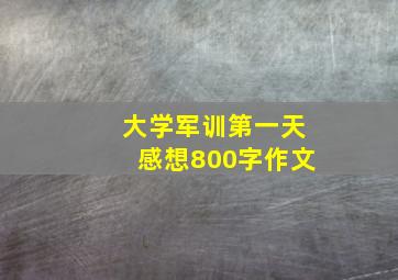 大学军训第一天感想800字作文