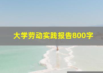 大学劳动实践报告800字