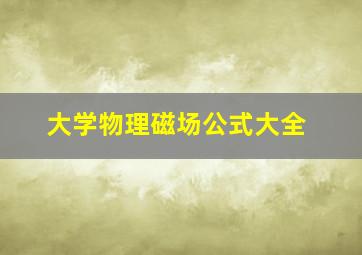 大学物理磁场公式大全