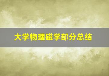 大学物理磁学部分总结