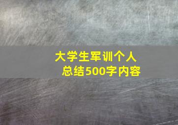 大学生军训个人总结500字内容