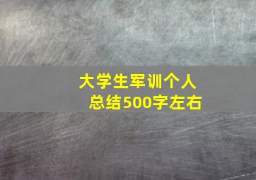 大学生军训个人总结500字左右