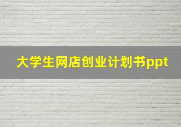 大学生网店创业计划书ppt