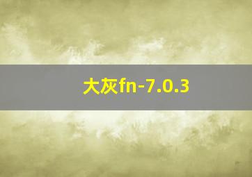 大灰fn-7.0.3