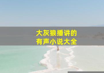 大灰狼播讲的有声小说大全