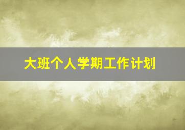 大班个人学期工作计划