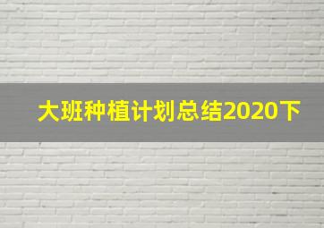 大班种植计划总结2020下