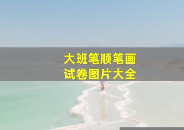 大班笔顺笔画试卷图片大全