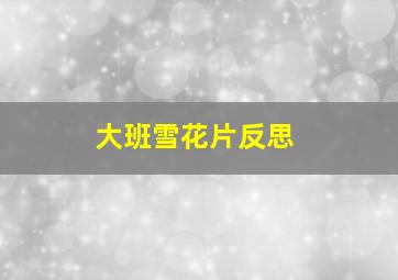 大班雪花片反思