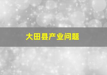 大田县产业问题