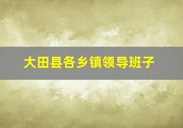 大田县各乡镇领导班子