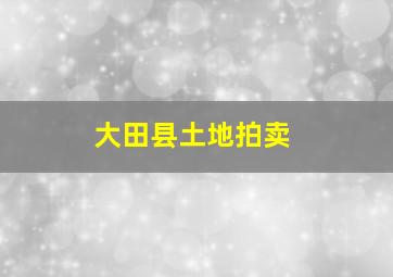 大田县土地拍卖