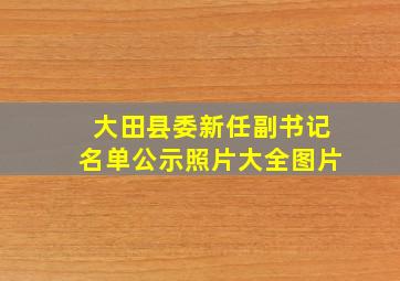 大田县委新任副书记名单公示照片大全图片