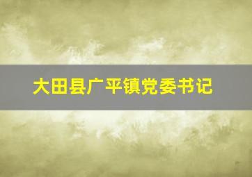 大田县广平镇党委书记