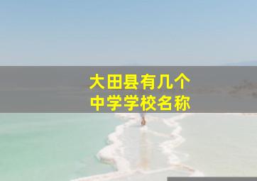 大田县有几个中学学校名称