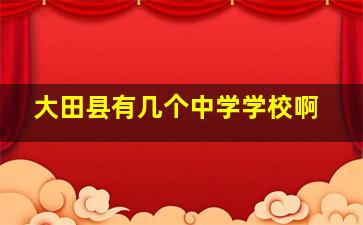 大田县有几个中学学校啊