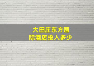 大田庄东方国际酒店投入多少