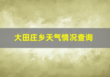 大田庄乡天气情况查询