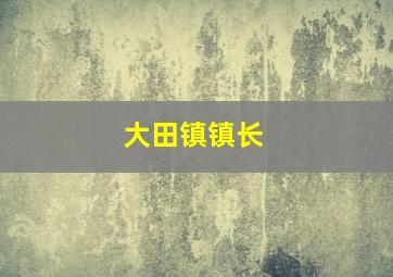 大田镇镇长